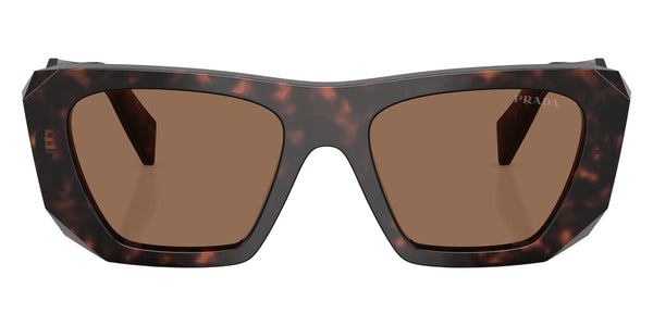 Root Tortoise / Dark Brown / 53-19-145