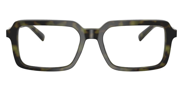 Olive Tortoise / 55-18-145