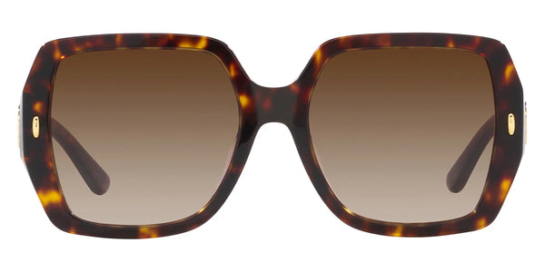 Dark Tortoise / Brown Gradient / 54-18-140