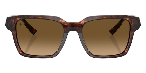 Caramel Havana / Gradient Brown Polarized / 55-19-145