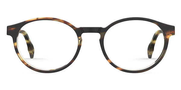 Striped Brown / 50-19-145