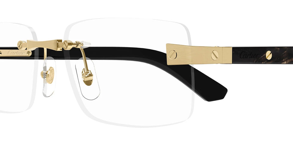 Cartier - CT0513O Santos de Cartier