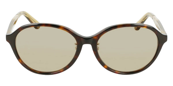 Brown Havana / 55-16-140