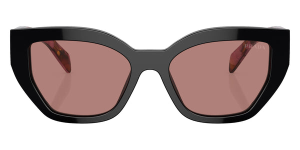 Mahogany/Tortoise Cognac Begonia / Light Brown / 55-16-145