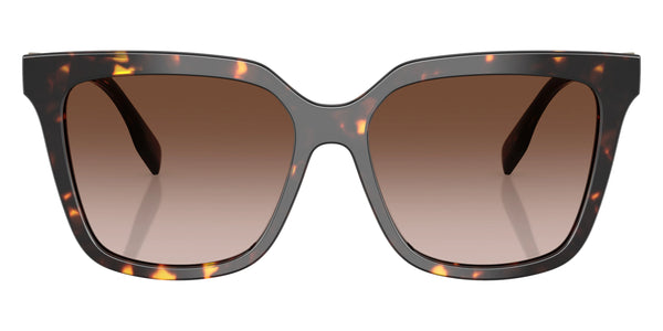 Brown Tortoise / Brown Gradient / 56-16-150