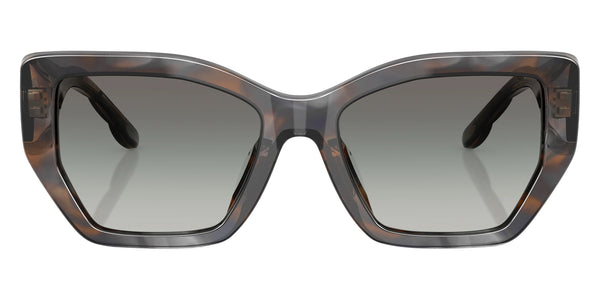 Blue Smoke Tortoise / Gray Gradient / 53-18-140