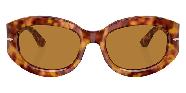 Brown Tortoise / Brown / 56-20-140