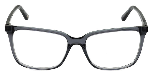 Shiny Gray / 54-16-140