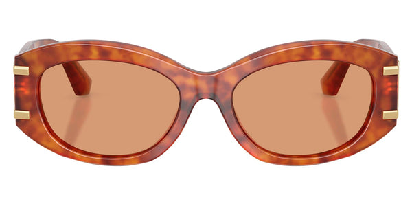 Camel Havana / Orange / 55-18-145