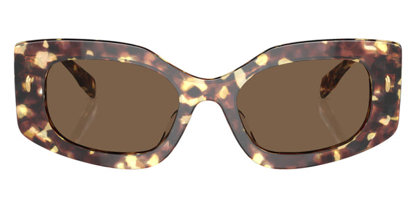 Vintage Tortoise / Dark Brown / 50-19-145