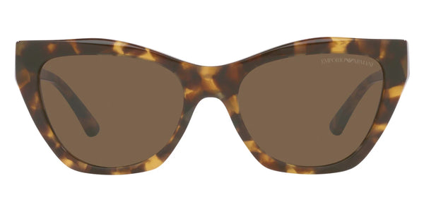 Shiny Brown Havana / Brown / 54-18-140