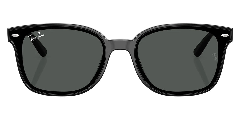 Ray-Ban - RB4461D