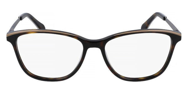 Tortoise / 53-15-140