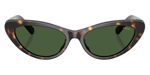 Shiny Dark Havana / Bottle Green / 54-16-145