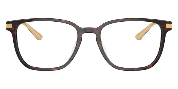 Briar Tortoise/Gold / 54-18-145