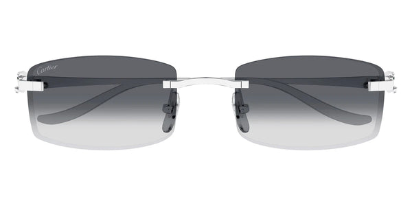 Silver / Gray AR / 55-20-135