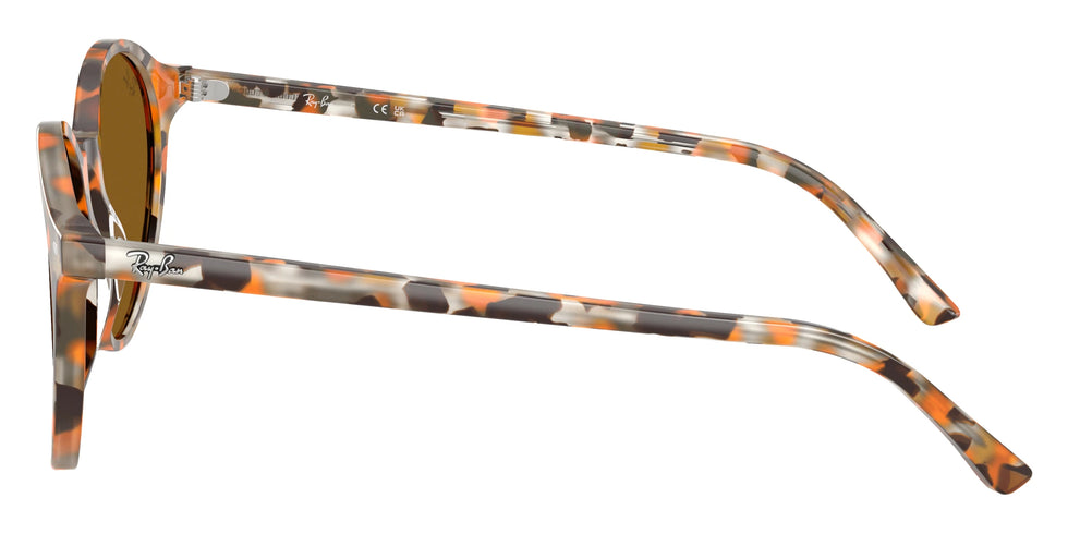 Ray-Ban - RB2230 Bernard