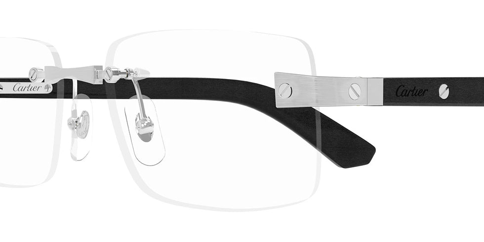 Cartier - CT0513O Santos de Cartier