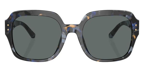 Blue Tortoise / Dark Gray Polarized / 56-21-140