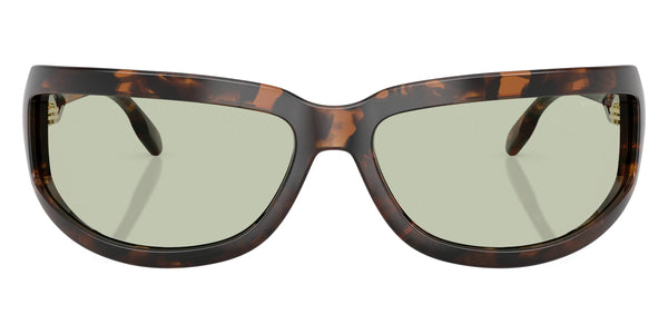 Dark Tortoise / Green Solid / 72-16-120