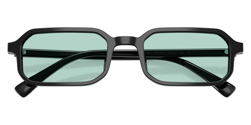 EMPORIO ARMANI - EA4253U