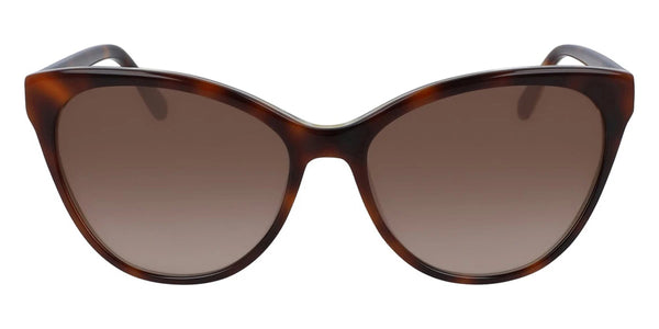 Tortoise / 56-16-135