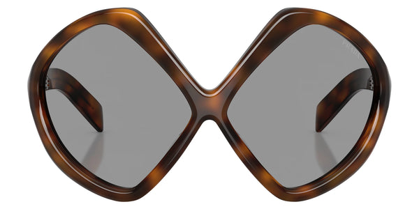 Juniper Tortoise / Gray / 68-12-125