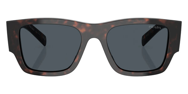 Root Tortoise / Dark Gray / 54-20-140