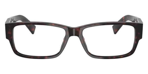 Root Havana / 55-16-145