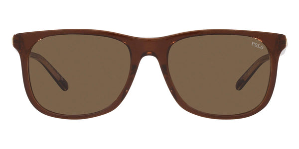 Shiny Transparent Brown on Crystal / Brown / 55-18-140