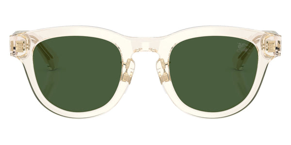 Yellow / Dark Green / 48-23-145