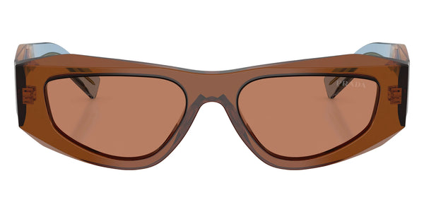 Chocolate / Brown / 53-17-145