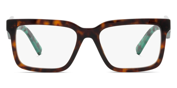 Tortoise / 52-17-140