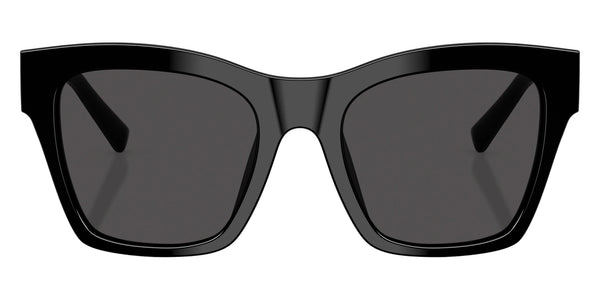 Black / Dark Gray / 53-20-145