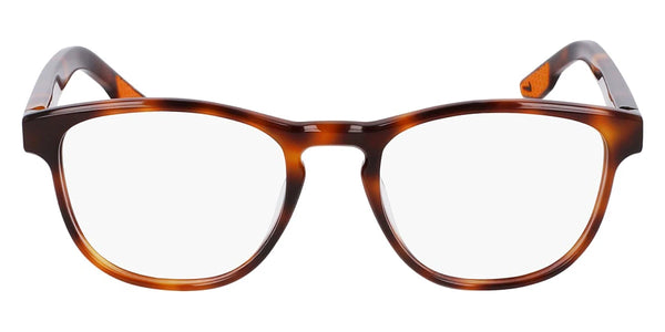 Soft Tortoise / 50-19-145