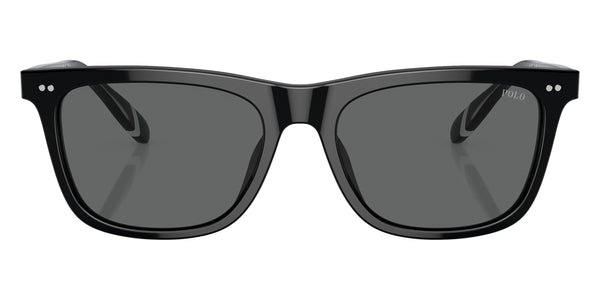 Shiny Black/Shiny Havana / Dark Gray / 56-18-145