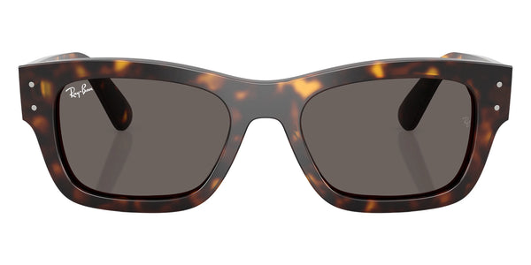 Havana / Dark Gray / 55-20-145