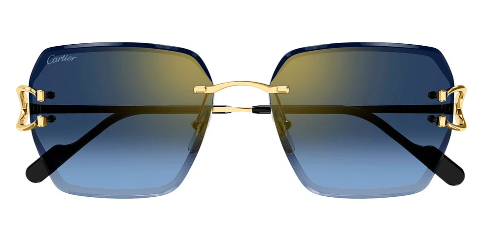 Cartier - CT0466S Signature C de Cartier