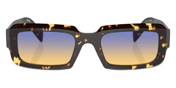 Black Malt Tortoise / Clear Fifty Yellow/Dark Blue / 55-19-145