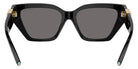 TIFFANY TF4218F 800181 55 - Black / Dark Gray Polarized