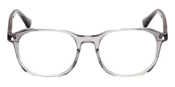 Shiny Gray / 53-19-150