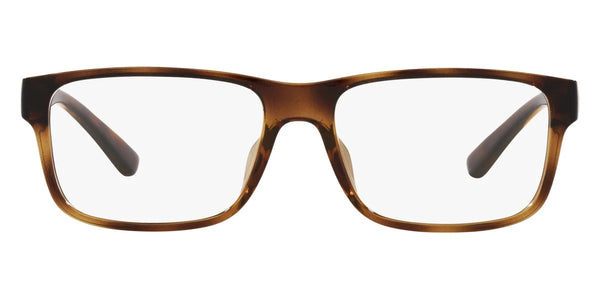 Shiny Havana / 55-16-145