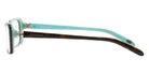 TIFFANY TF2091B 8134 53 - Havana on TIFFANY Blue