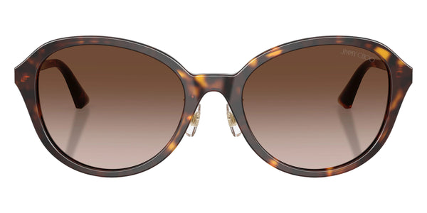 Havana/Pale Gold / Gradient Brown / 54-19-140