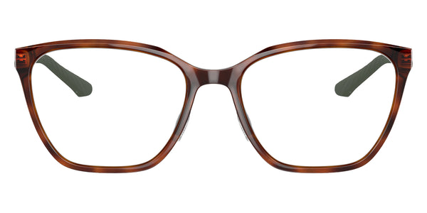 Tortoise/Gold / 52-17-140