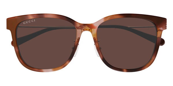 Havana/Gold / Brown / 56-16-145