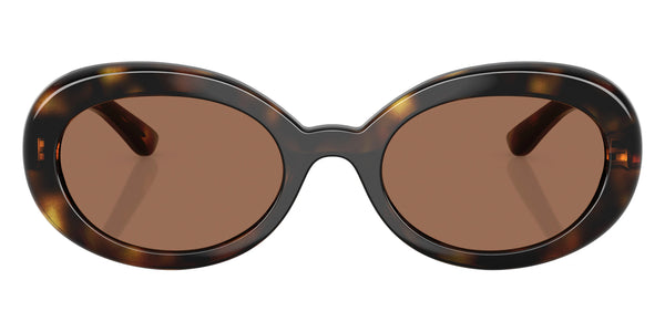 Havana / Dark Brown / 49-19-130