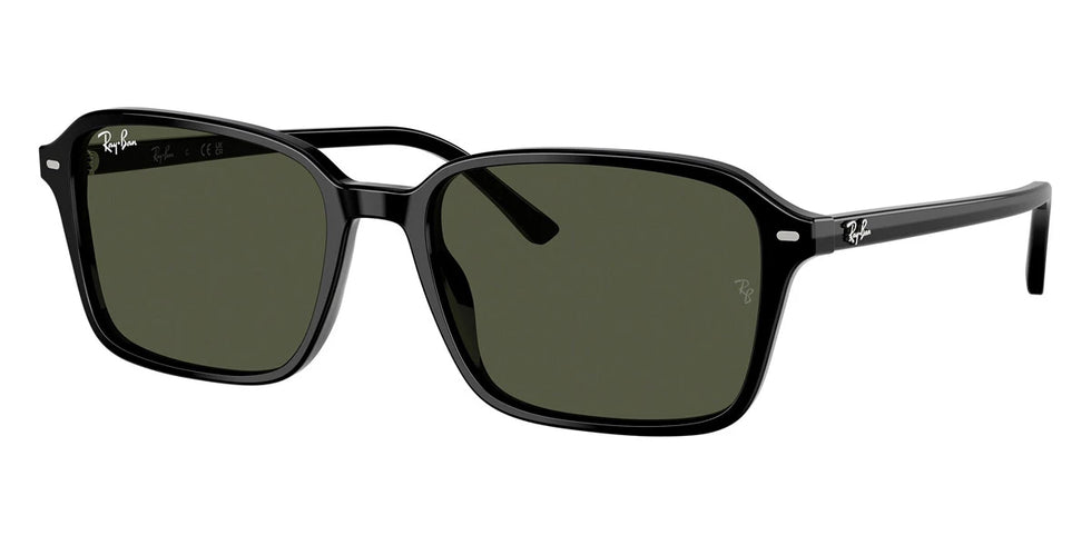 Ray-Ban - Raimond RB2231F