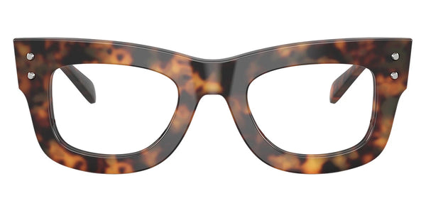 Saddle Tortoise / 47-23-140