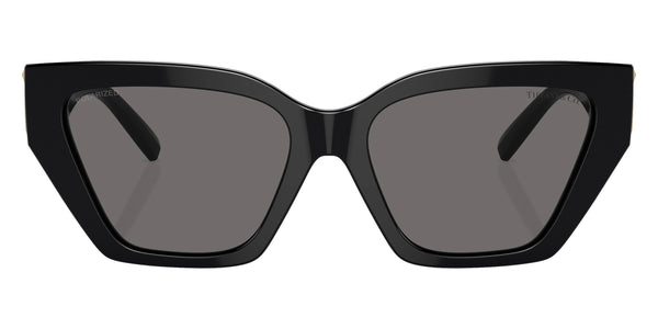 Black / Dark Gray Polarized / 55-17-140